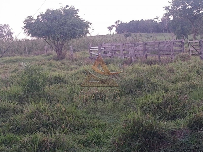Aliança Imóveis - Imobiliária em Ribeirão Preto - SP - Sítio - Zona Rural - Cássia