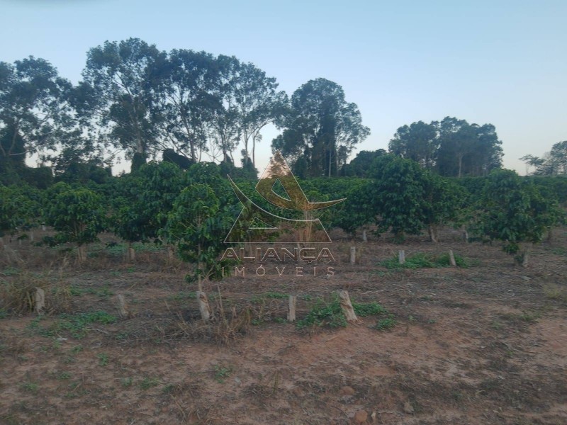 Aliança Imóveis - Imobiliária em Ribeirão Preto - SP - Sítio - Zona Rural - Cássia