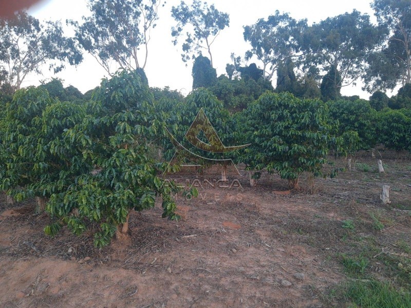 Aliança Imóveis - Imobiliária em Ribeirão Preto - SP - Sítio - Zona Rural - Cássia