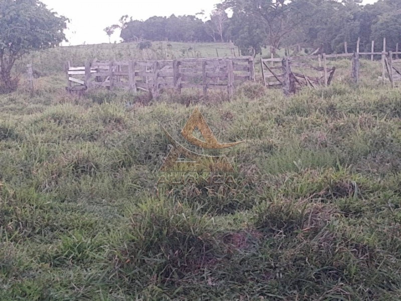 Aliança Imóveis - Imobiliária em Ribeirão Preto - SP - Sítio - Zona Rural - Cássia