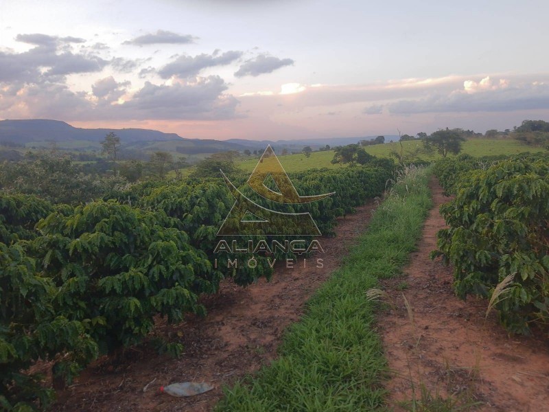 Sítio - Zona Rural - Cássia