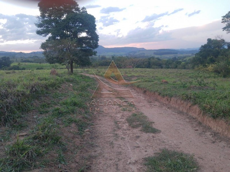 Aliança Imóveis - Imobiliária em Ribeirão Preto - SP - Sítio - Zona Rural - Cássia