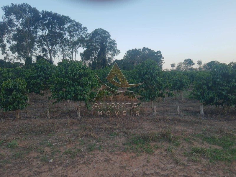 Aliança Imóveis - Imobiliária em Ribeirão Preto - SP - Sítio - Zona Rural - Cássia