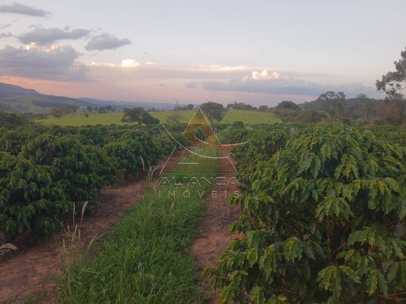 Aliança Imóveis - Imobiliária em Ribeirão Preto - SP - Sítio - Zona Rural - Cássia