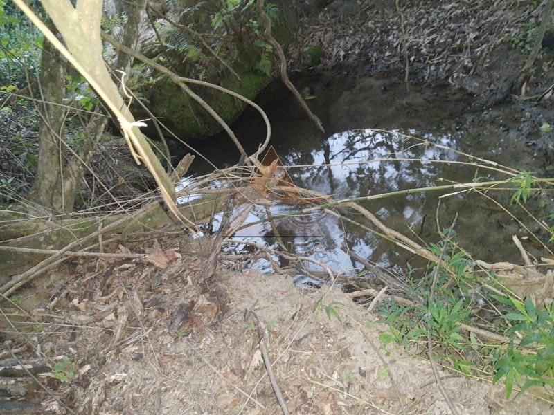 Aliança Imóveis - Imobiliária em Ribeirão Preto - SP - Sítio - Zona Rural - Cássia