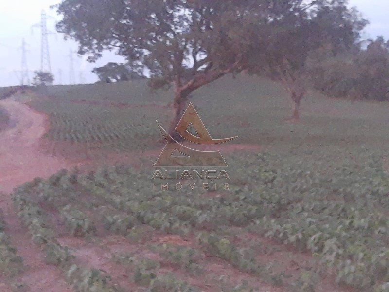 Aliança Imóveis - Imobiliária em Ribeirão Preto - SP - Sítio - Zona Rural - Cássia