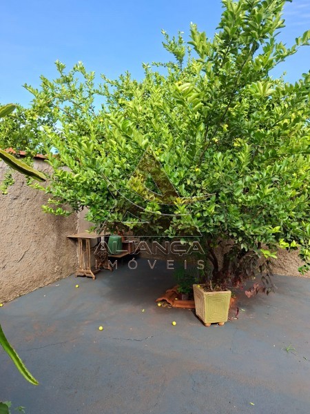 Aliança Imóveis - Imobiliária em Ribeirão Preto - SP - Casa - Jardim Manoel Penna - Ribeirão Preto