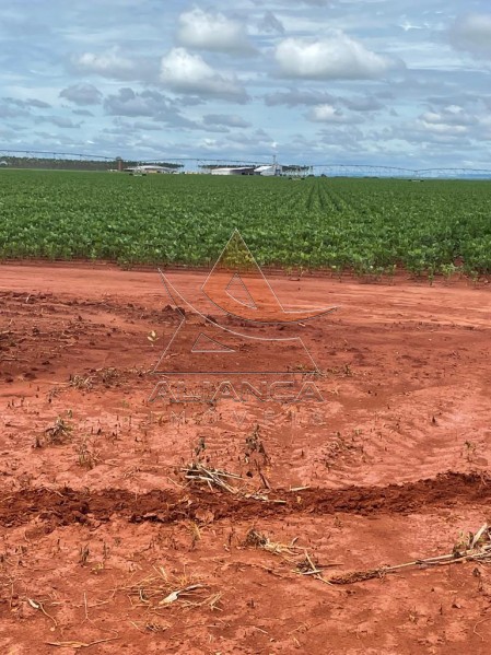 Aliança Imóveis - Imobiliária em Ribeirão Preto - SP - Fazenda  - João Pinheiro - João Pinheiro