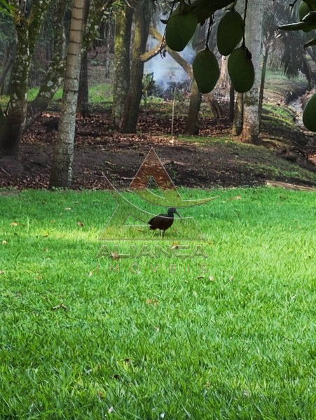 Aliança Imóveis - Imobiliária em Ribeirão Preto - SP - Chácara - Ribeirão do Tamanduá - Cravinhos