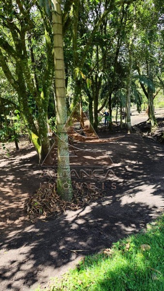 Aliança Imóveis - Imobiliária em Ribeirão Preto - SP - Chácara - Ribeirão do Tamanduá - Cravinhos