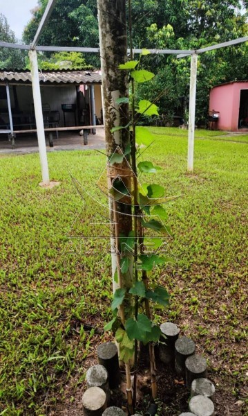 Aliança Imóveis - Imobiliária em Ribeirão Preto - SP - Chácara - Ribeirão do Tamanduá - Cravinhos