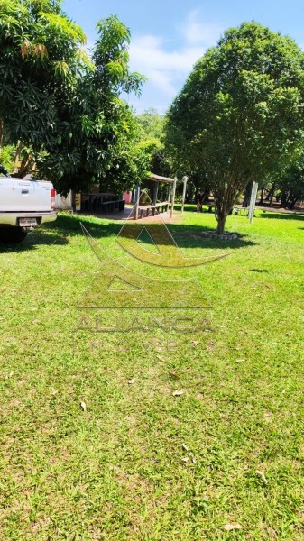 Aliança Imóveis - Imobiliária em Ribeirão Preto - SP - Chácara - Ribeirão do Tamanduá - Cravinhos