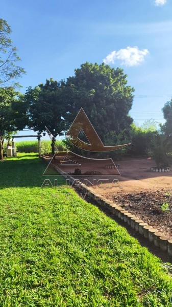 Aliança Imóveis - Imobiliária em Ribeirão Preto - SP - Chácara - Ribeirão do Tamanduá - Cravinhos