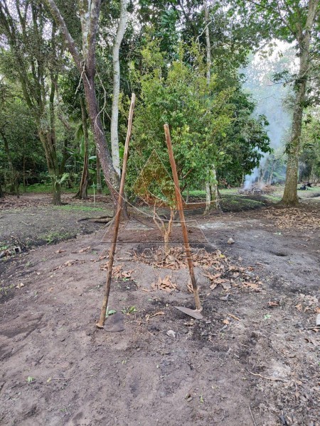 Aliança Imóveis - Imobiliária em Ribeirão Preto - SP - Chácara - Ribeirão do Tamanduá - Cravinhos