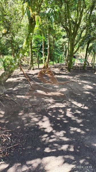 Aliança Imóveis - Imobiliária em Ribeirão Preto - SP - Chácara - Ribeirão do Tamanduá - Cravinhos