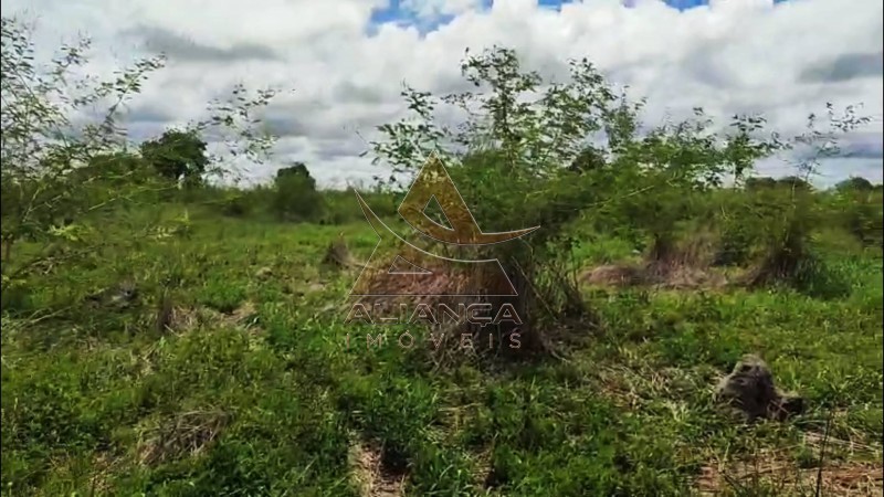 Aliança Imóveis - Imobiliária em Ribeirão Preto - SP - Fazenda  - Fazenda - Jussara