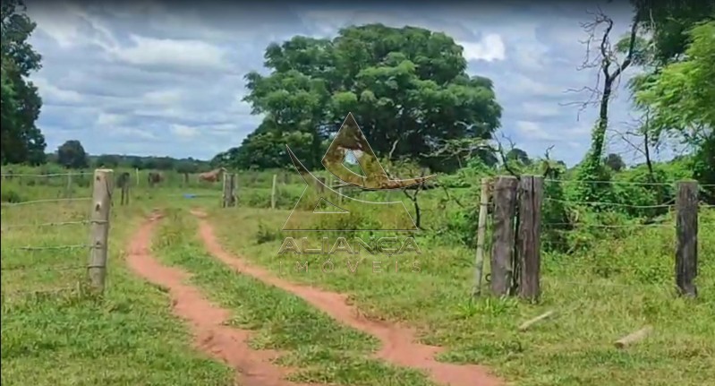 Aliança Imóveis - Imobiliária em Ribeirão Preto - SP - Fazenda  - Fazenda - Jussara
