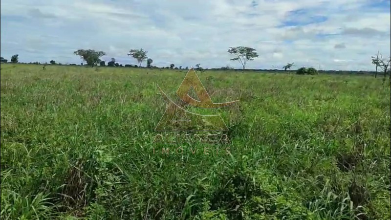Aliança Imóveis - Imobiliária em Ribeirão Preto - SP - Fazenda  - Fazenda - Jussara