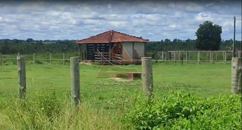 Aliança Imóveis - Imobiliária em Ribeirão Preto - SP - Fazenda  - Fazenda - Jussara