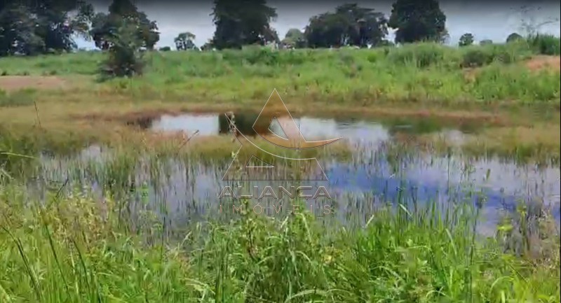 Aliança Imóveis - Imobiliária em Ribeirão Preto - SP - Fazenda  - Fazenda - Jussara