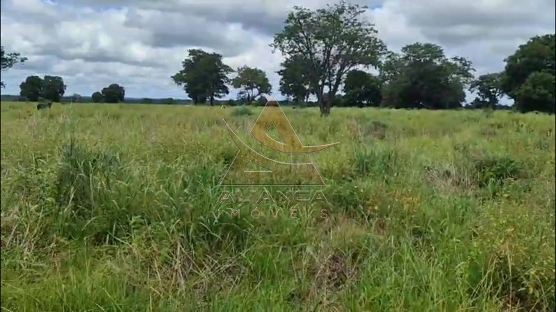 Aliança Imóveis - Imobiliária em Ribeirão Preto - SP - Fazenda  - Fazenda - Jussara