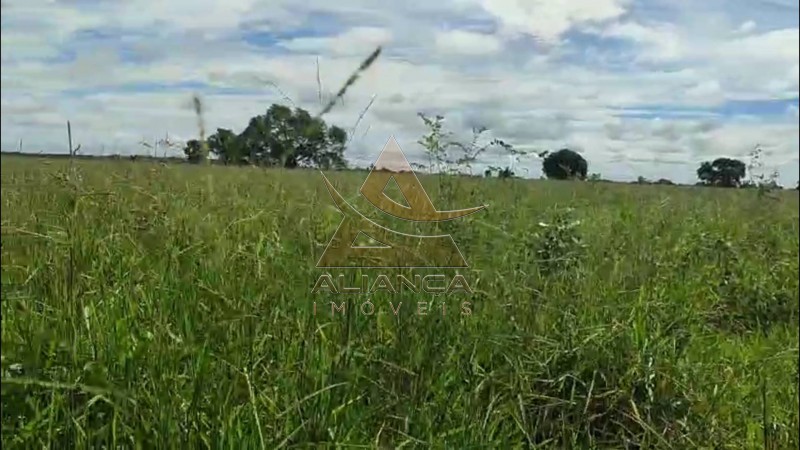 Aliança Imóveis - Imobiliária em Ribeirão Preto - SP - Fazenda  - Fazenda - Jussara