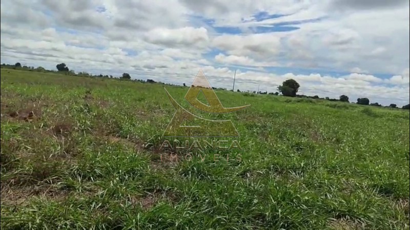 Aliança Imóveis - Imobiliária em Ribeirão Preto - SP - Fazenda  - Fazenda - Jussara