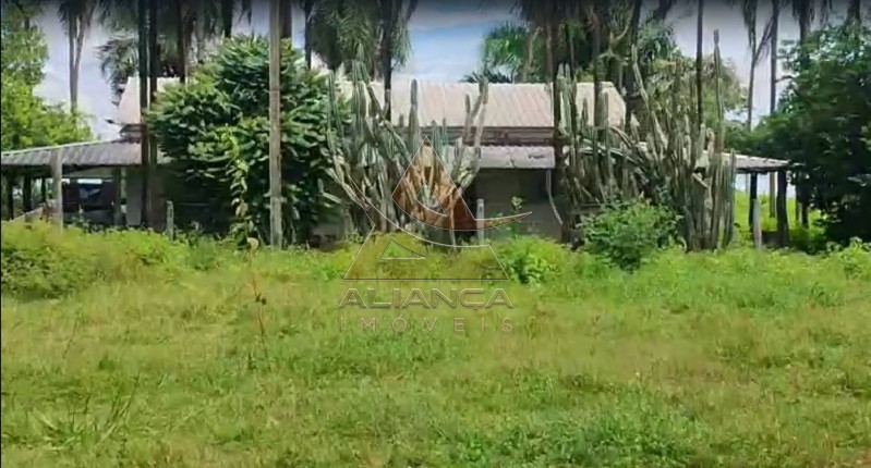 Aliança Imóveis - Imobiliária em Ribeirão Preto - SP - Fazenda  - Fazenda - Jussara