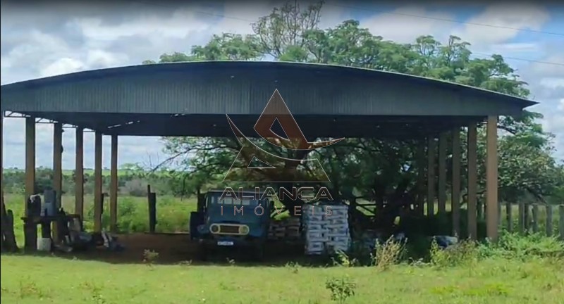 Aliança Imóveis - Imobiliária em Ribeirão Preto - SP - Fazenda  - Fazenda - Jussara