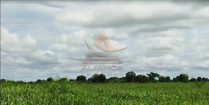 Aliança Imóveis - Imobiliária em Ribeirão Preto - SP - Fazenda  - Fazenda - Jussara