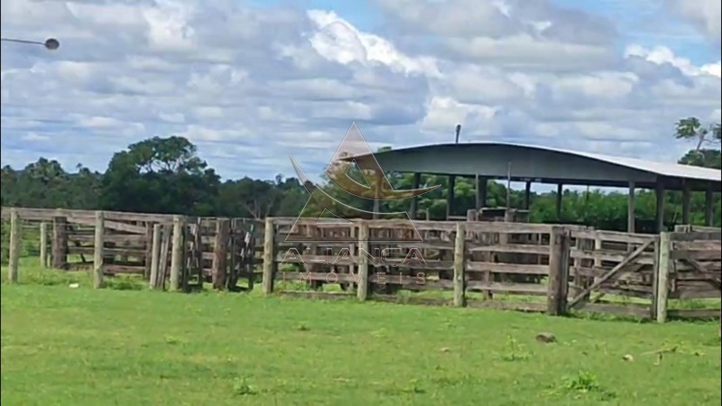Aliança Imóveis - Imobiliária em Ribeirão Preto - SP - Fazenda  - Fazenda - Jussara