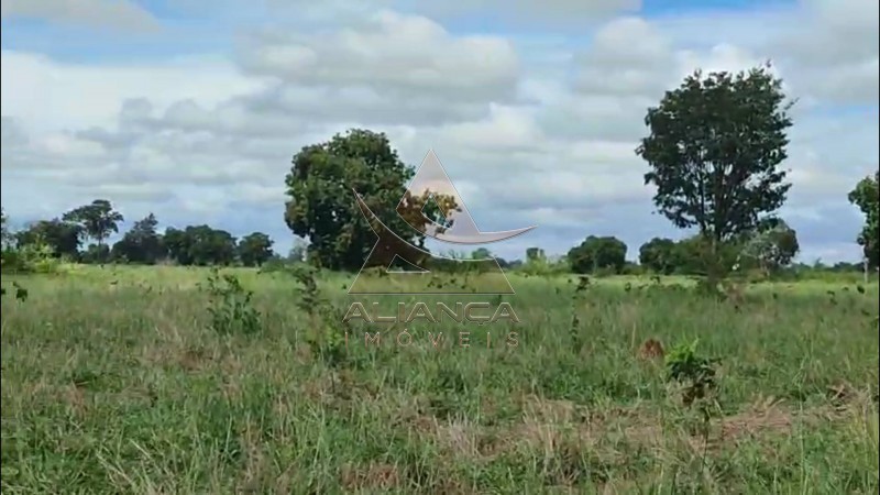 Aliança Imóveis - Imobiliária em Ribeirão Preto - SP - Fazenda  - Fazenda - Jussara