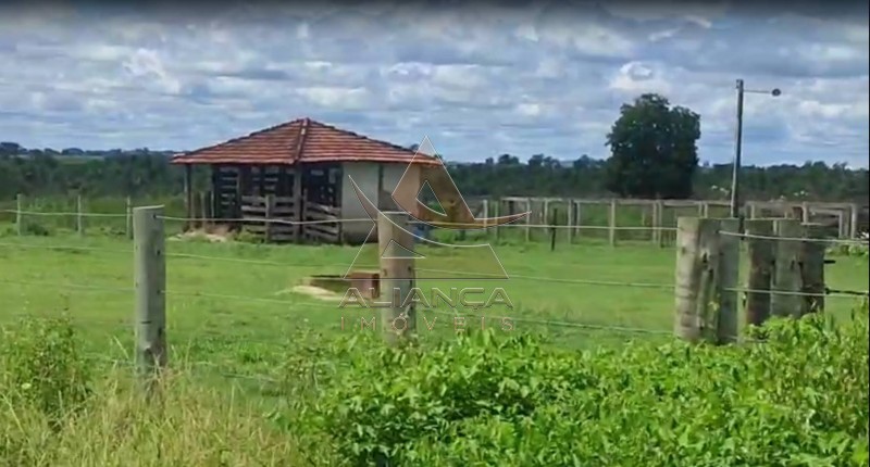 Aliança Imóveis - Imobiliária em Ribeirão Preto - SP - Fazenda  - Fazenda - Jussara