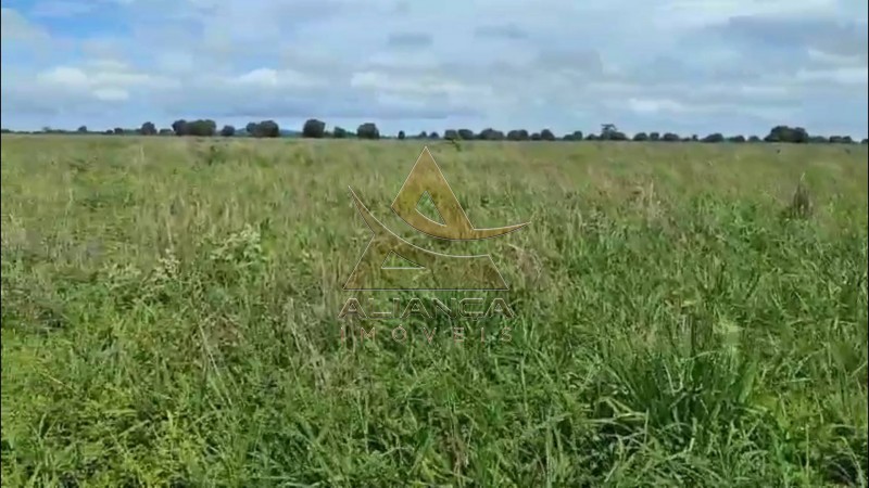 Aliança Imóveis - Imobiliária em Ribeirão Preto - SP - Fazenda  - Fazenda - Jussara