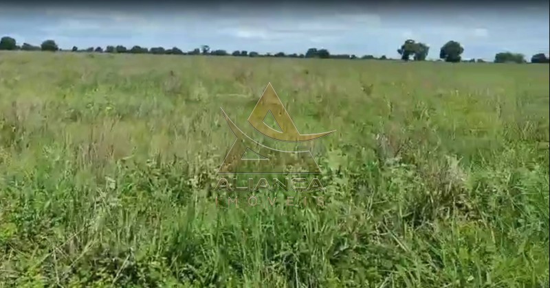 Aliança Imóveis - Imobiliária em Ribeirão Preto - SP - Fazenda  - Fazenda - Jussara