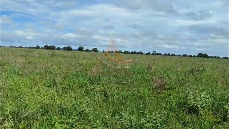 Aliança Imóveis - Imobiliária em Ribeirão Preto - SP - Fazenda  - Fazenda - Jussara