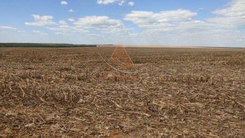 Aliança Imóveis - Imobiliária em Ribeirão Preto - SP - Fazenda  - Fazenda - Nova Maringá 