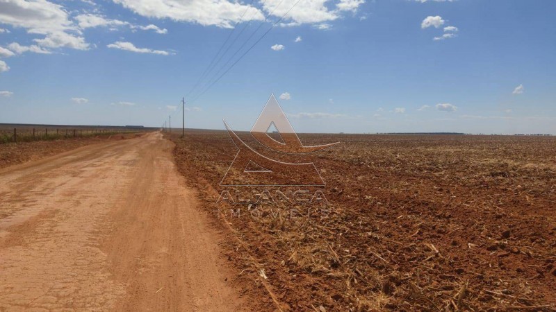 Aliança Imóveis - Imobiliária em Ribeirão Preto - SP - Fazenda  - Fazenda - Nova Maringá 