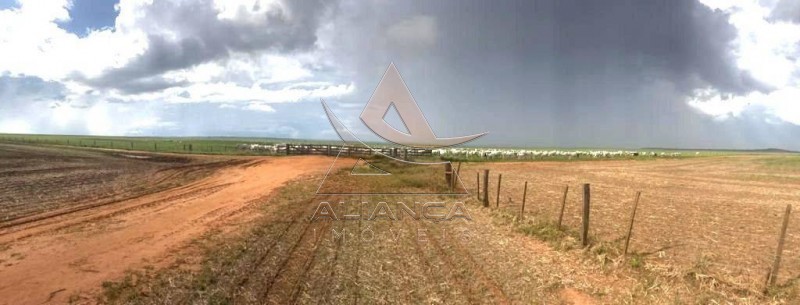 Aliança Imóveis - Imobiliária em Ribeirão Preto - SP - Fazenda  - Fazenda - Nova Maringá 