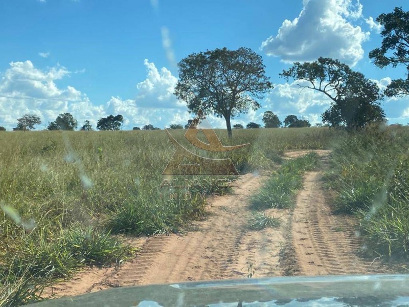 Aliança Imóveis - Imobiliária em Ribeirão Preto - SP - Fazenda  - Fazenda - Santa Vitoria