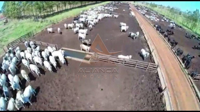 Aliança Imóveis - Imobiliária em Ribeirão Preto - SP - Fazenda  - Fazenda - Santa Vitoria