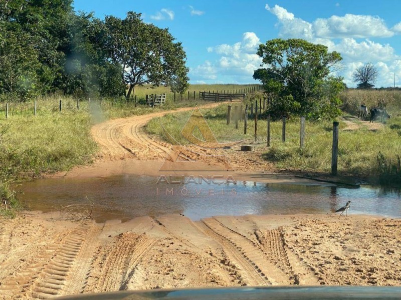 Aliança Imóveis - Imobiliária em Ribeirão Preto - SP - Fazenda  - Fazenda - Santa Vitoria