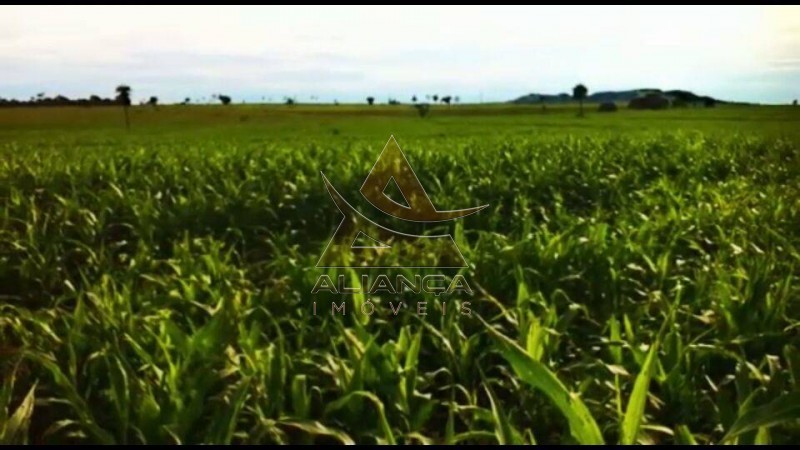 Aliança Imóveis - Imobiliária em Ribeirão Preto - SP - Fazenda  - Fazenda - Santa Vitoria