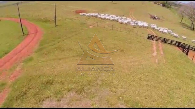 Aliança Imóveis - Imobiliária em Ribeirão Preto - SP - Fazenda  - Fazenda - Santa Vitoria