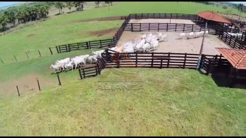 Aliança Imóveis - Imobiliária em Ribeirão Preto - SP - Fazenda  - Fazenda - Santa Vitoria