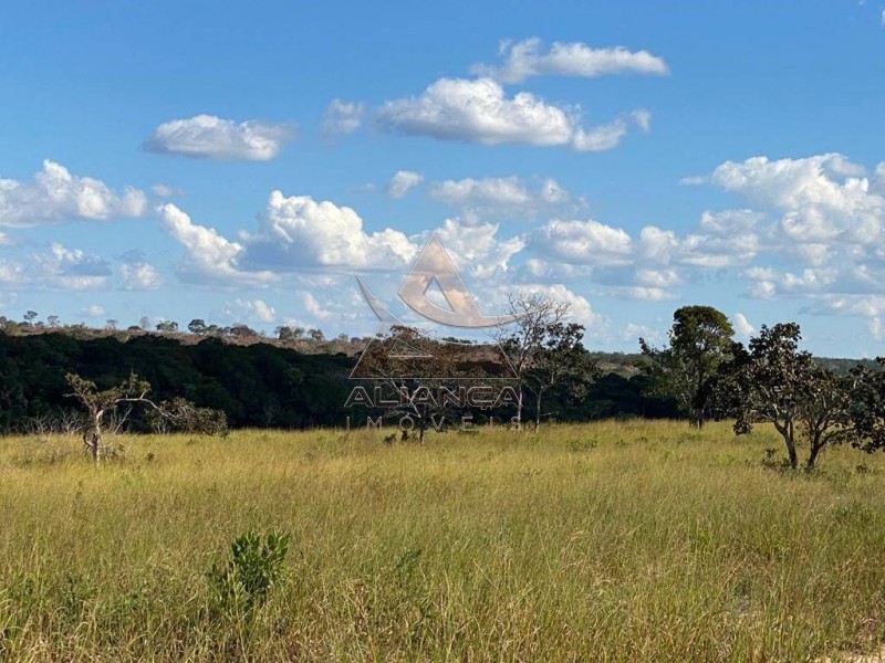 Aliança Imóveis - Imobiliária em Ribeirão Preto - SP - Fazenda  - Fazenda - Santa Vitoria