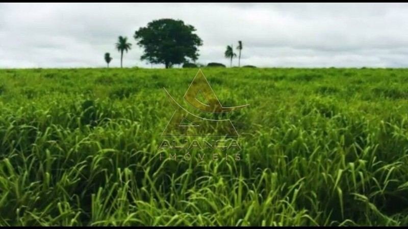 Aliança Imóveis - Imobiliária em Ribeirão Preto - SP - Fazenda  - Fazenda - Santa Vitoria