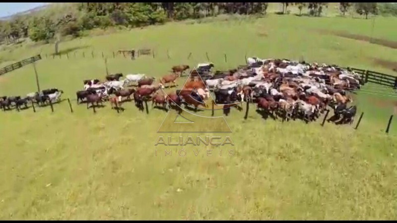 Aliança Imóveis - Imobiliária em Ribeirão Preto - SP - Fazenda  - Fazenda - Santa Vitoria