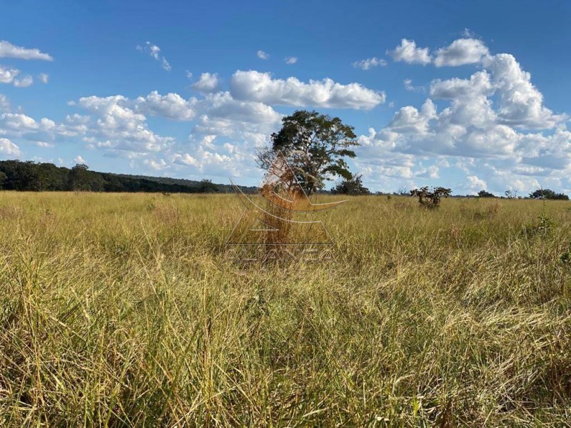 Aliança Imóveis - Imobiliária em Ribeirão Preto - SP - Fazenda  - Fazenda - Santa Vitoria