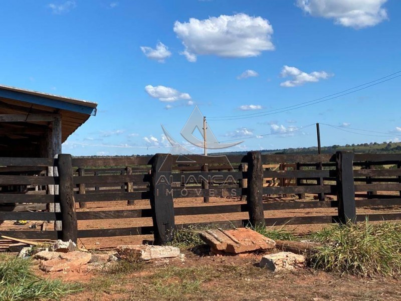 Aliança Imóveis - Imobiliária em Ribeirão Preto - SP - Fazenda  - Fazenda - Santa Vitoria